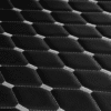 107-01-000462_3